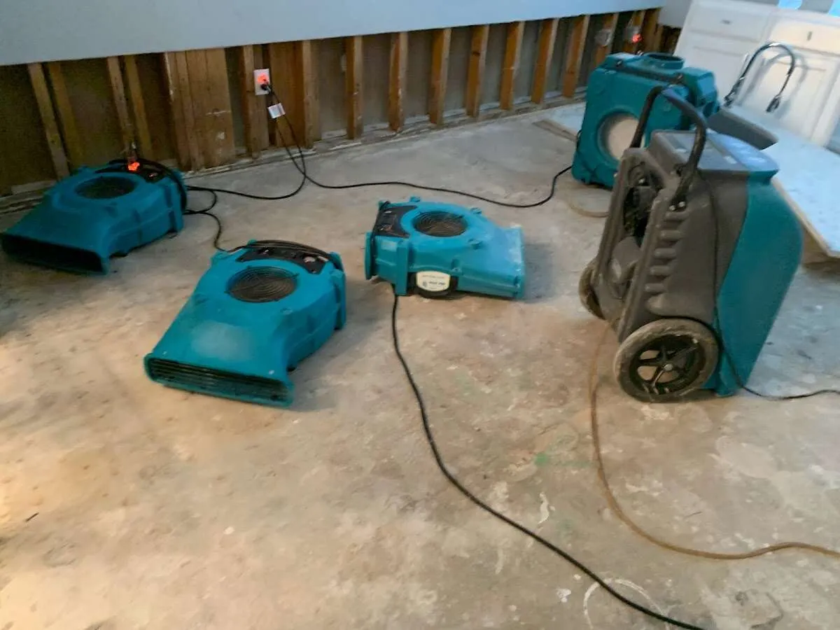 Water Damage Restoration services in Gold Canyon, AZ
